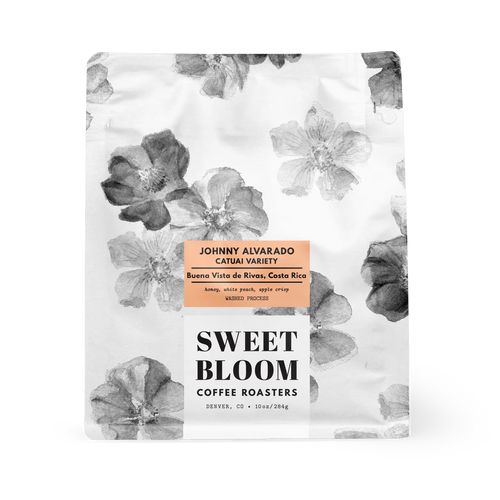 sweet-bloom-johnnyboy-25