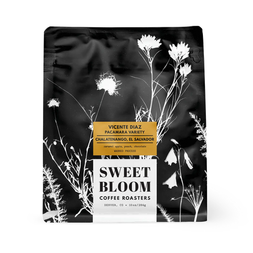 sweet-bloom-vicente-25