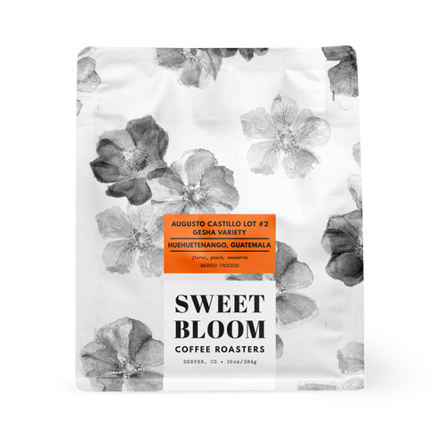 Augusto Castillo Lot #2