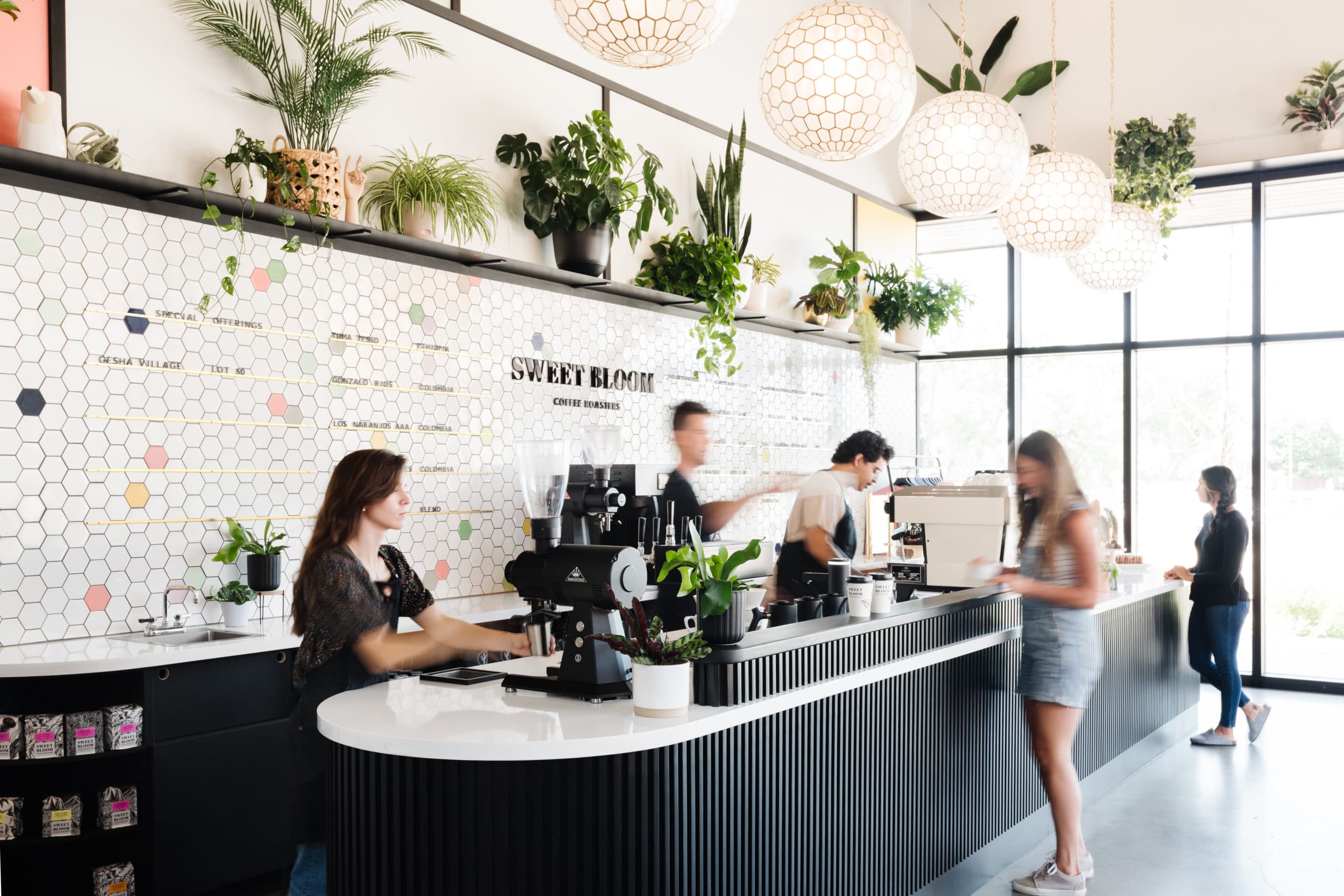 Westminster Sweet Bloom Coffee