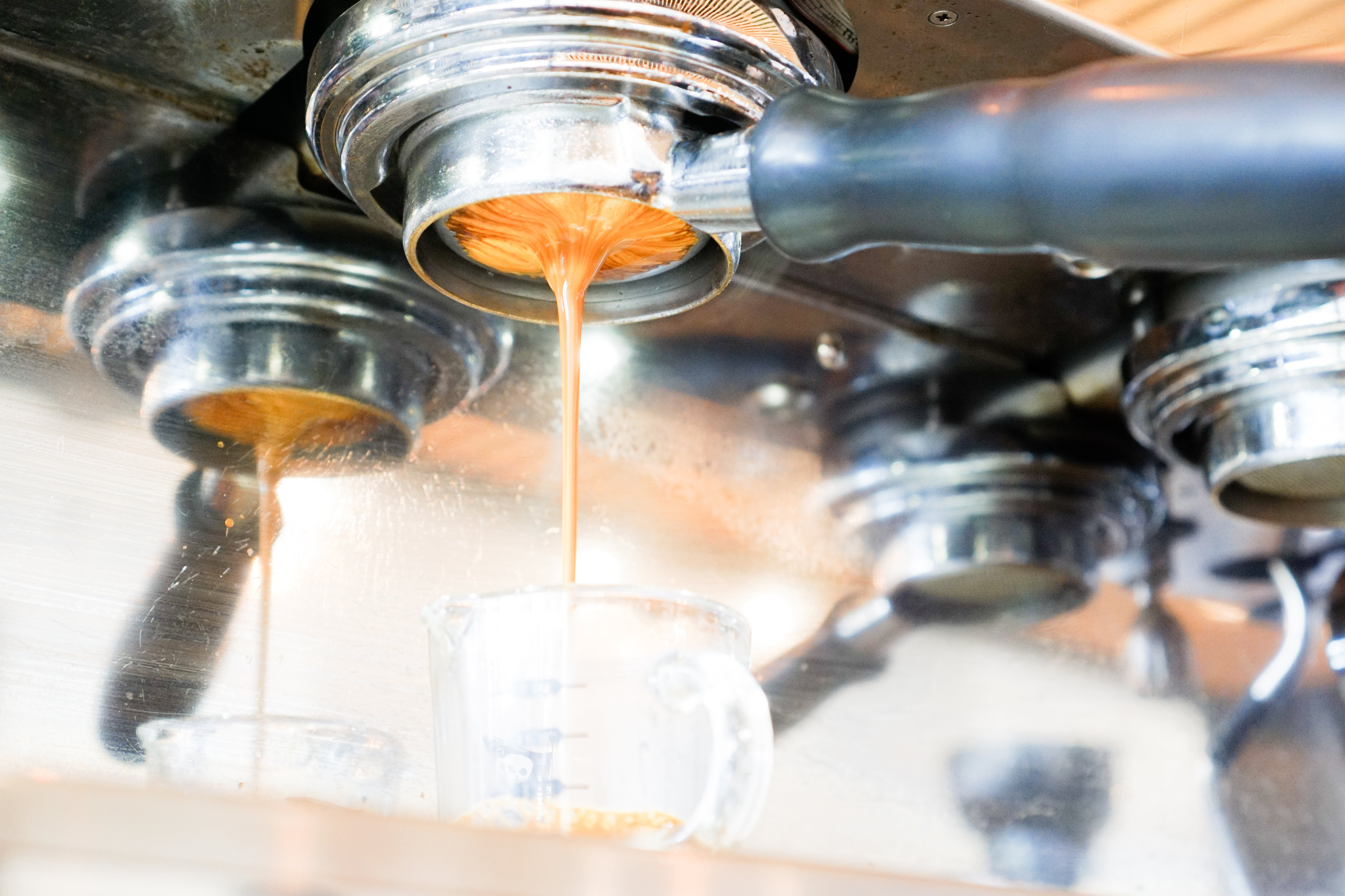 Alejandro Padilla – Sweet Bloom Coffee