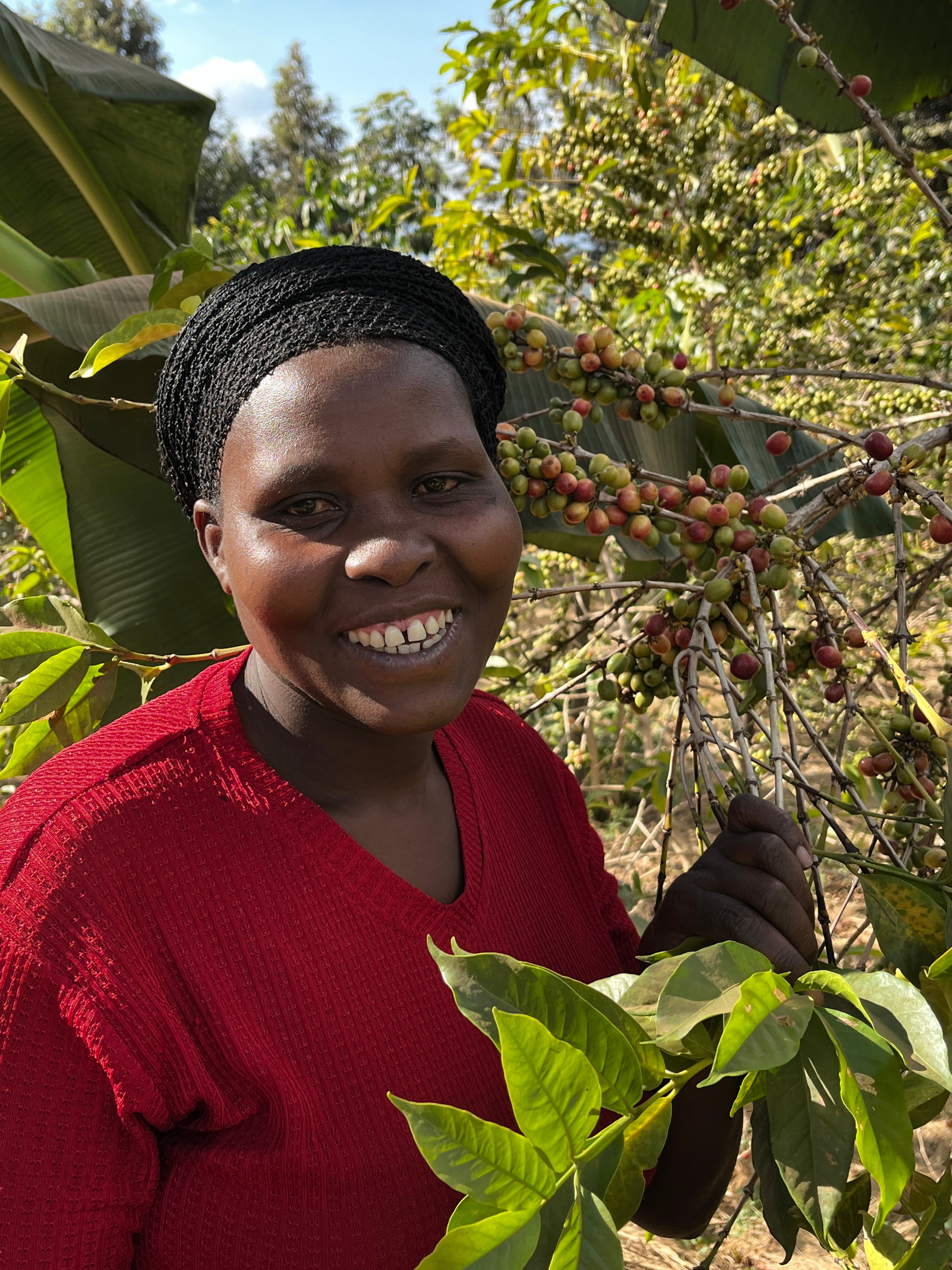 Rambagirakawa – Sweet Bloom Coffee