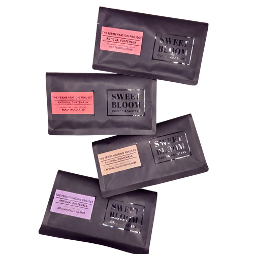 The Fermentation Project - PREORDER