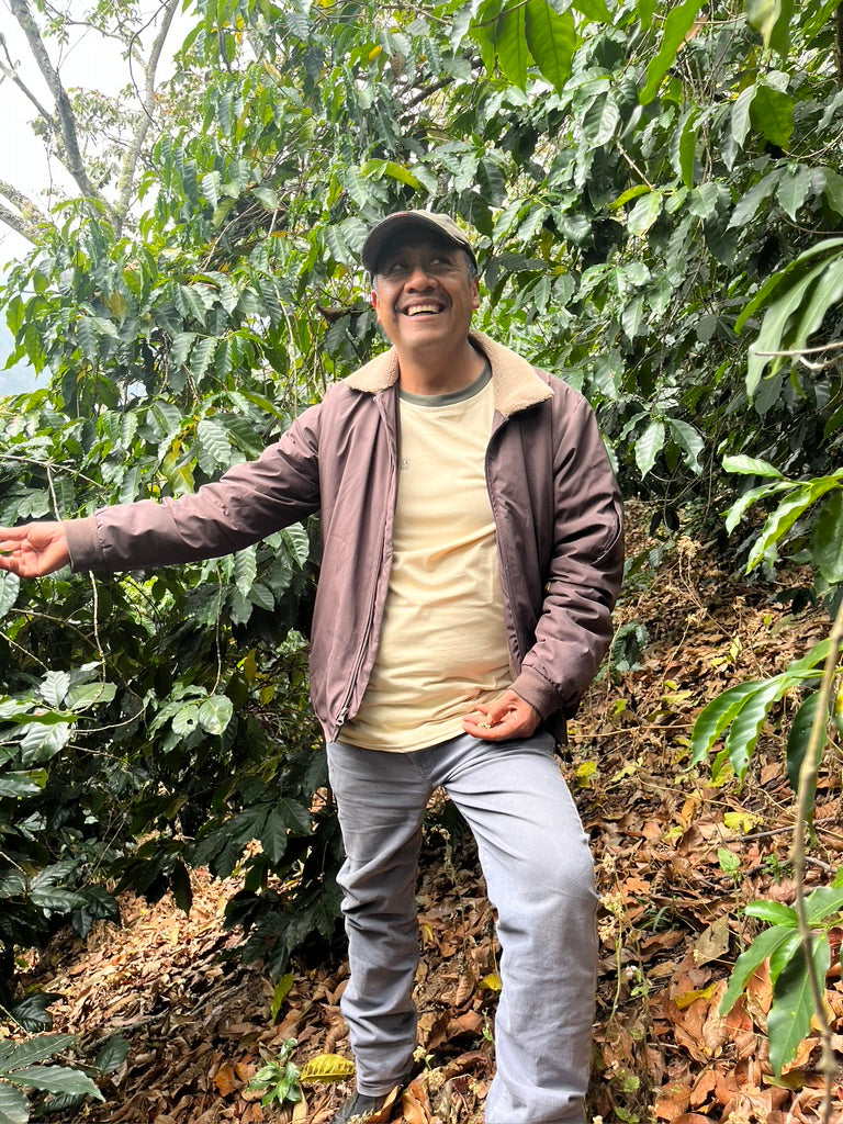 Hermenegildo Marin standing amid his coffee trees