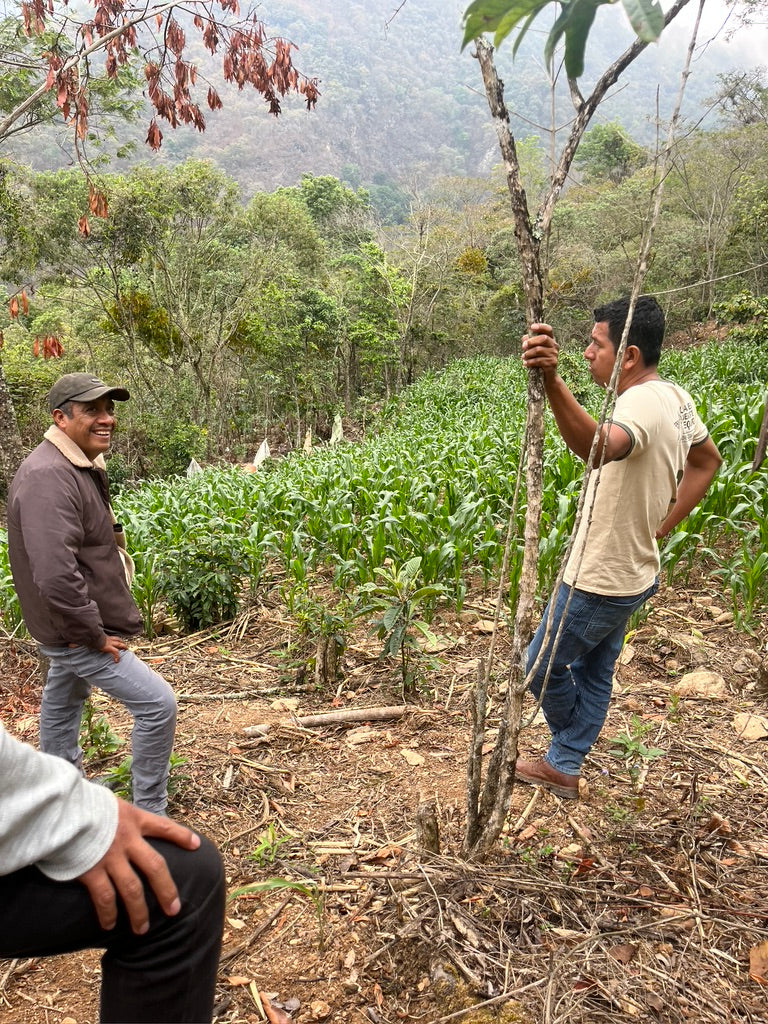 Hermenegildo Marin chatting with personnel form Caravela Coffee