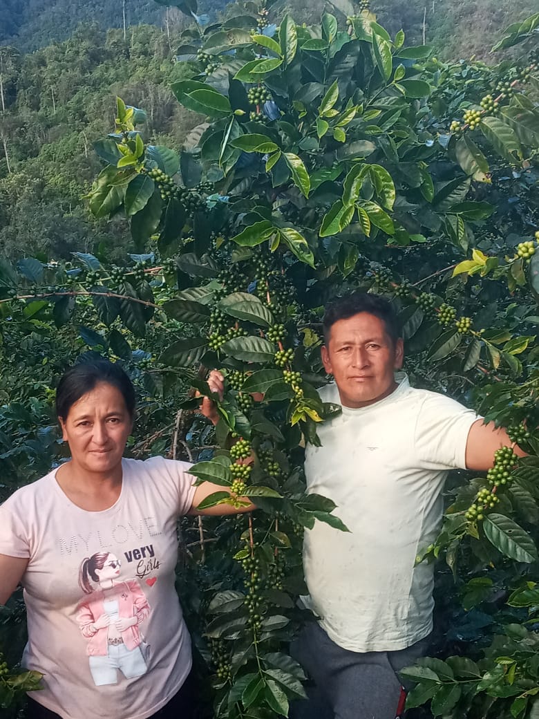 Alejandro Padilla – Sweet Bloom Coffee