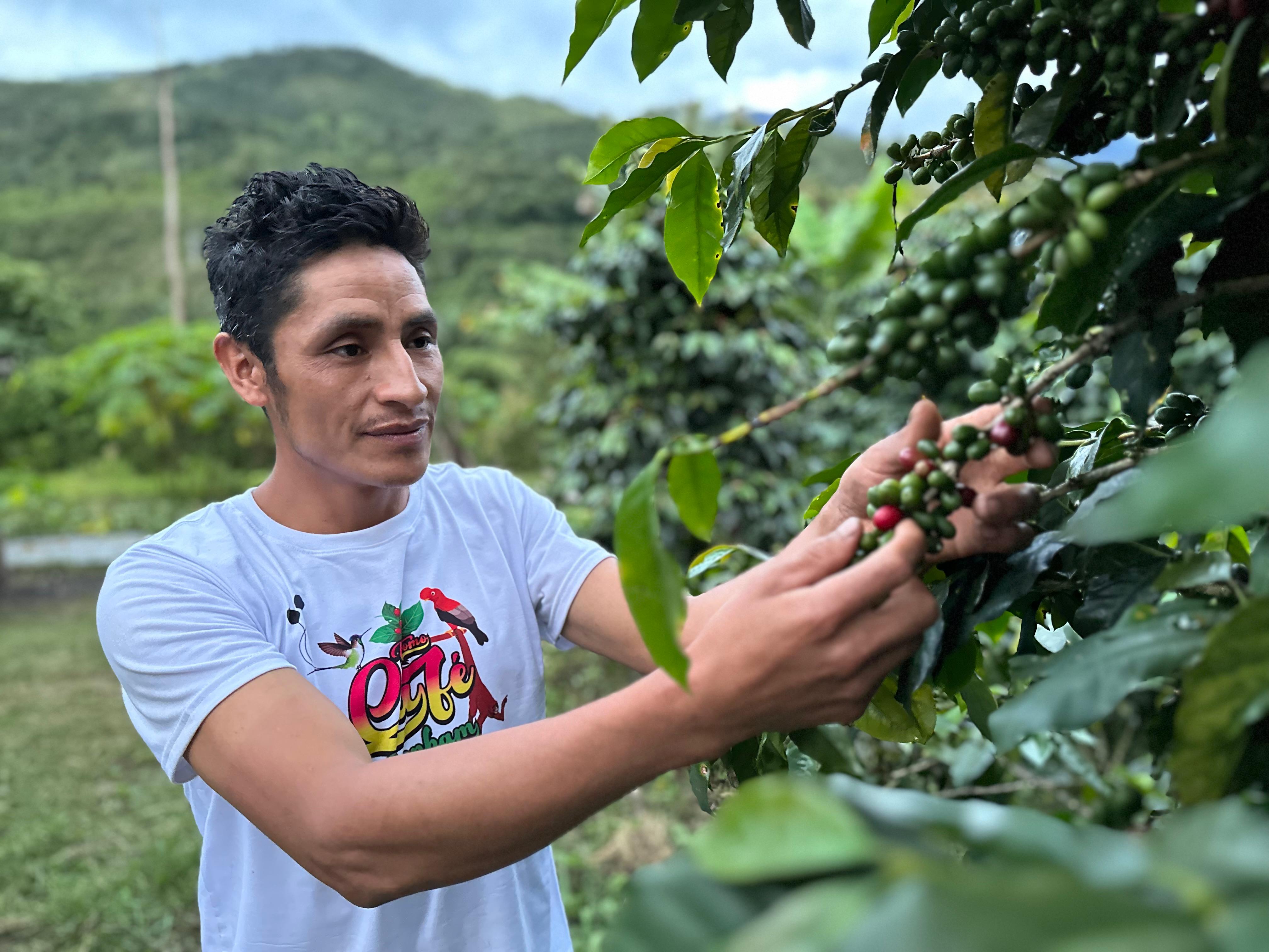 Elver Rodriguez – Sweet Bloom Coffee