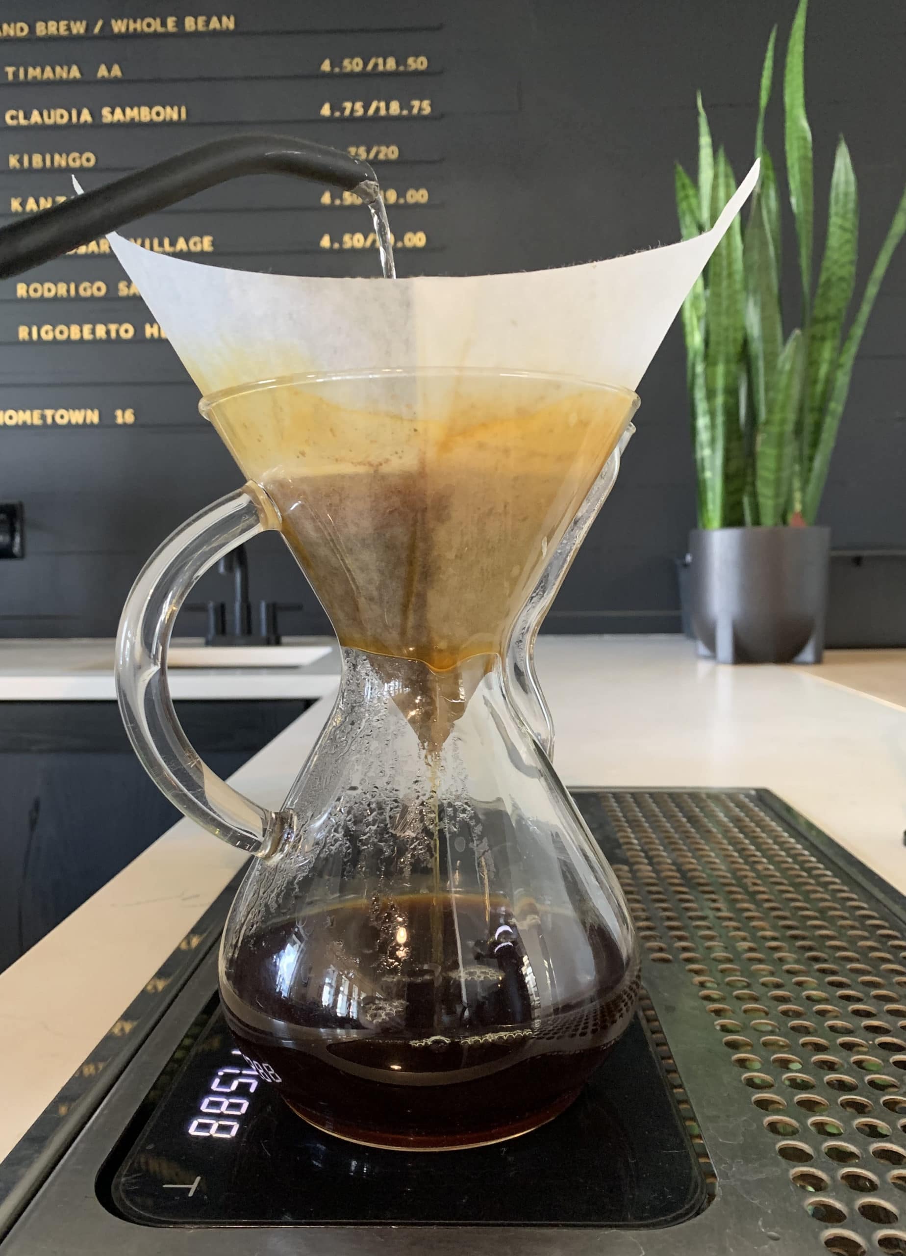 Chemex - 3 Cup, 6 Cup, 8 Cup — Snowy Owl Coffee Roasters