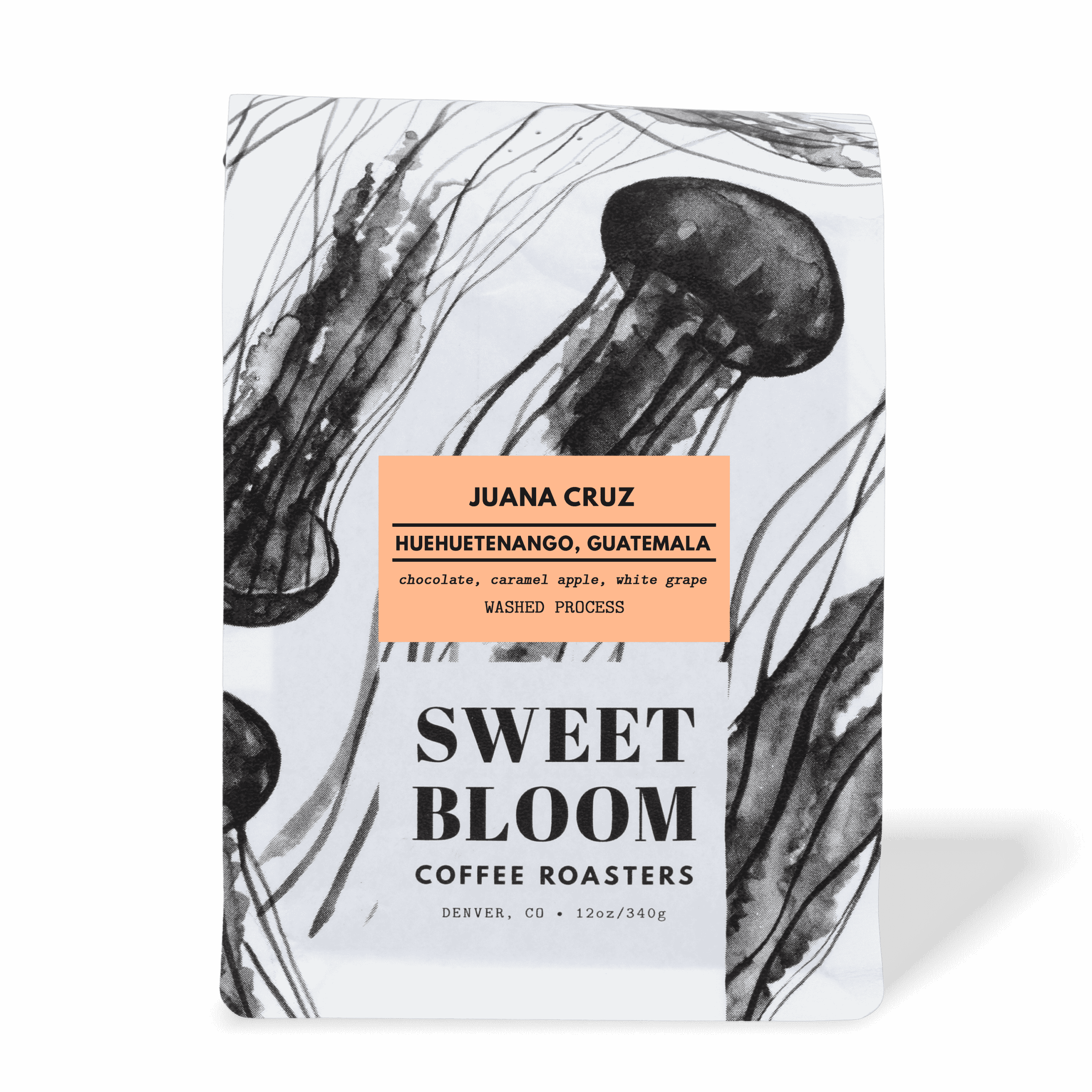 sweet-bloom-juanacruz-22