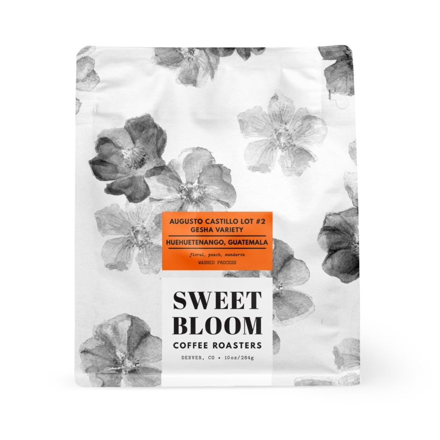 Augusto Castillo Lot #2